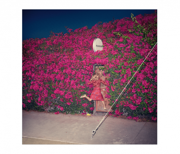 Feistpleasure - Pleasure Feist (575x492), Png Download