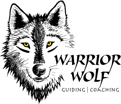 Wolf Head Png (500x482), Png Download