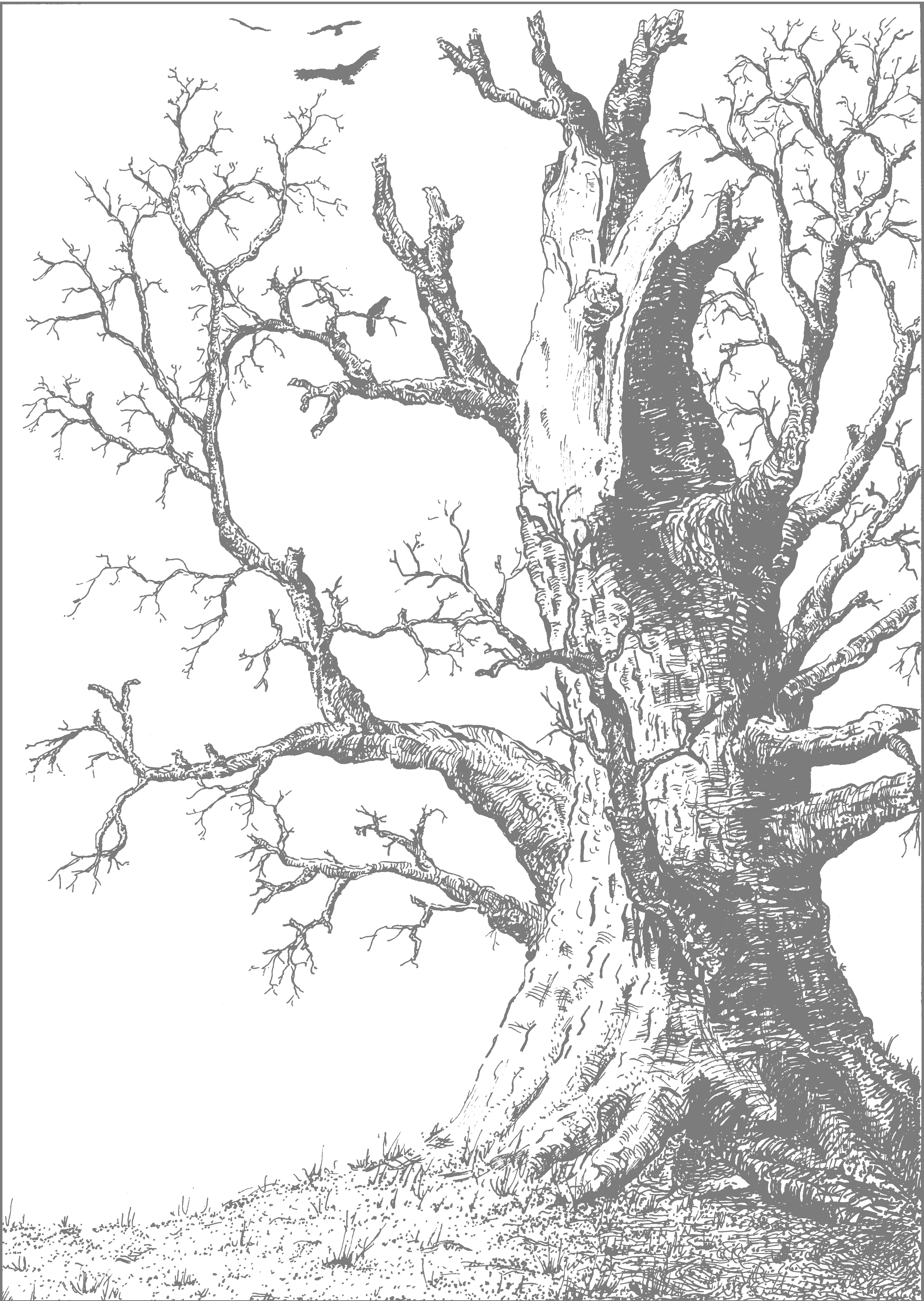 18th February - Drawing (3409x4797), Png Download