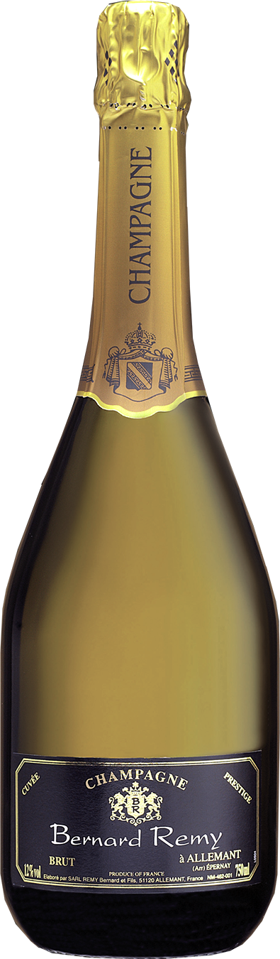 Platinum - Bernard Remy Brut Prestige (395x1350), Png Download