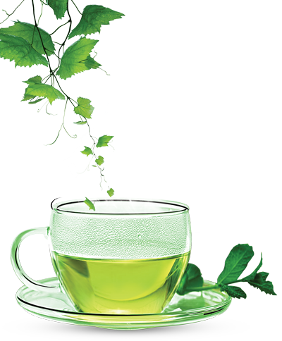 Green Tea Png Images