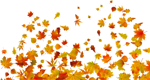 Fall - Black-eyed Susan (796x393), Png Download