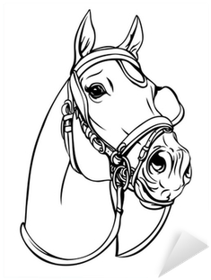 Horse Head Vector Png Download - Calco Manías De Caballos Para Carros (400x400), Png Download