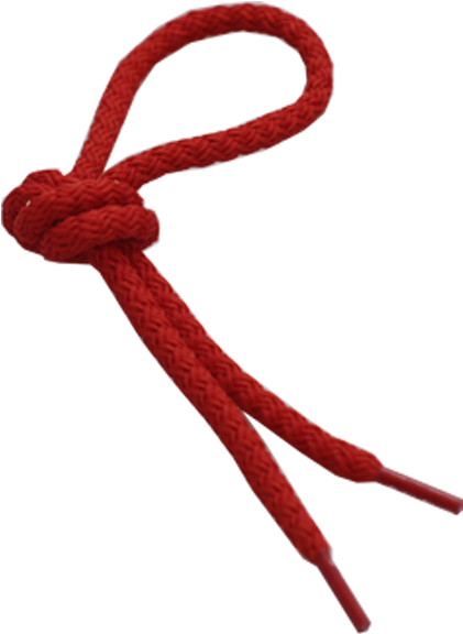 Shoe Lace - Shoe Laces Png (450x650), Png Download