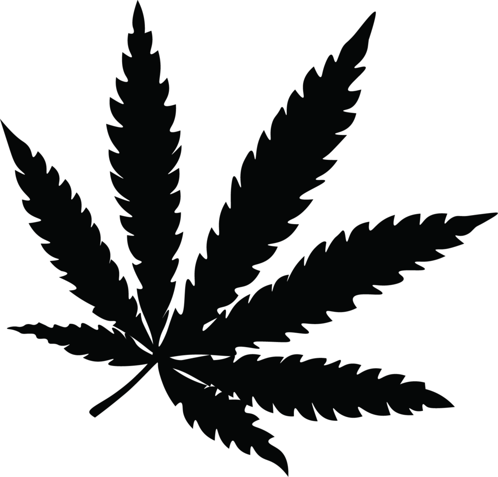 Potleaf (1000x958), Png Download