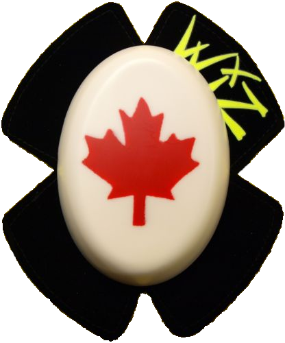 Canadian Flag - Stupid Canada Laws (416x500), Png Download