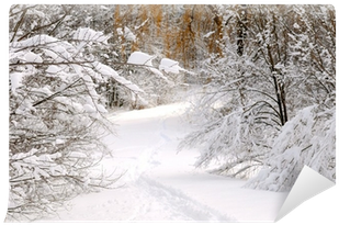 Path In Winter Forest After A Snowfall Wall Mural • - Winter (400x400), Png Download
