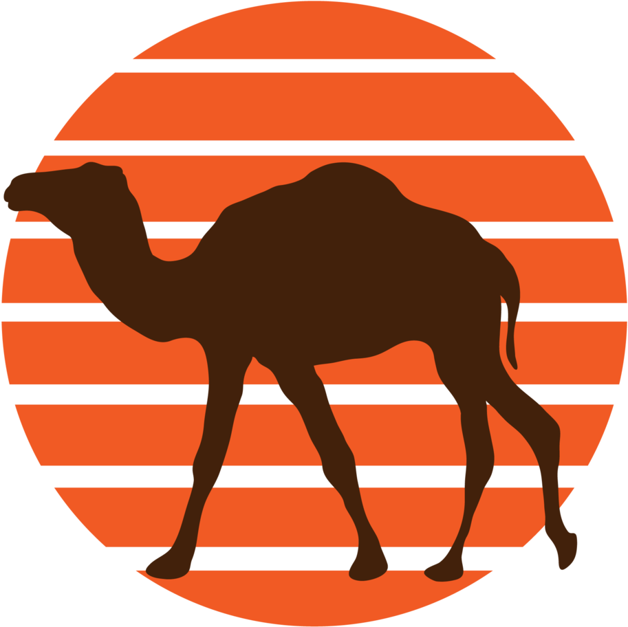 Camel Png (1000x955), Png Download