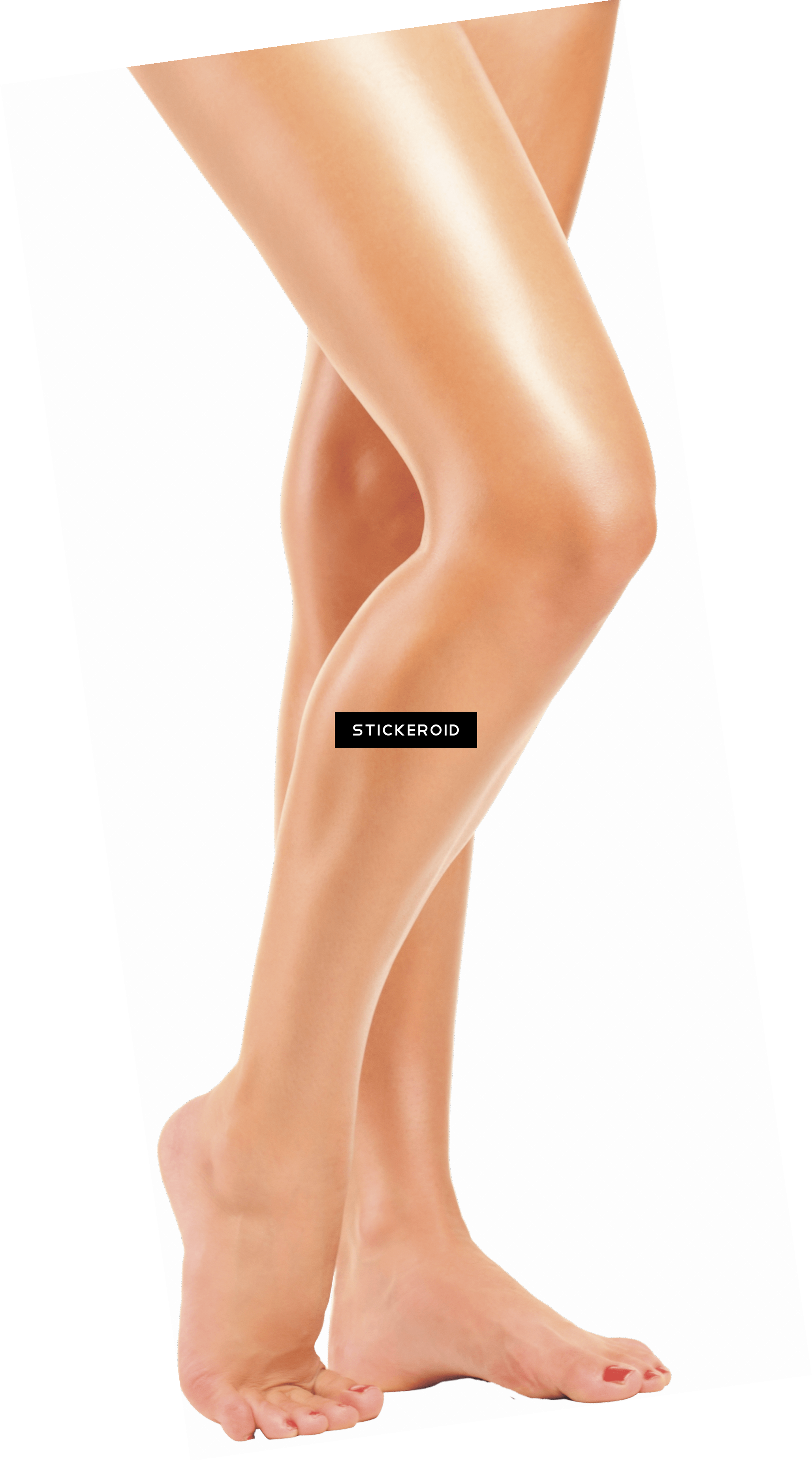 Legs - Legs Png (2056x3694), Png Download