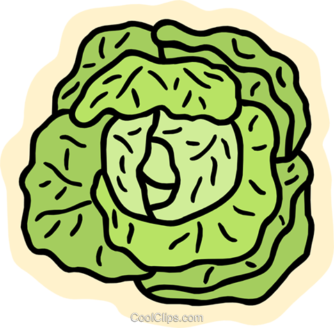 Lettuce - Salat Clipart (480x472), Png Download
