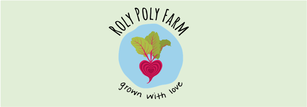 Logo Head - Portable Network Graphics (1000x432), Png Download