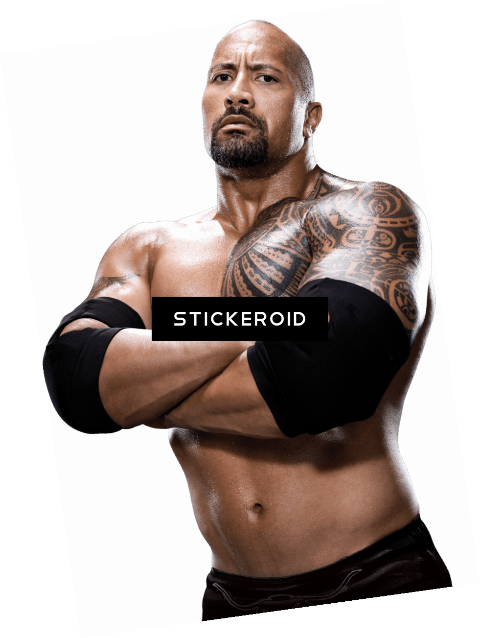 Dwayne Johnson Hd - Professional Wrestling (981x1303), Png Download