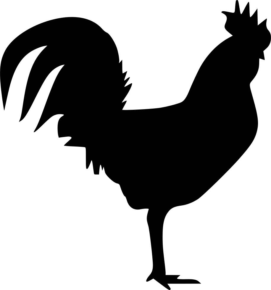 Png File - Rooster (916x980), Png Download