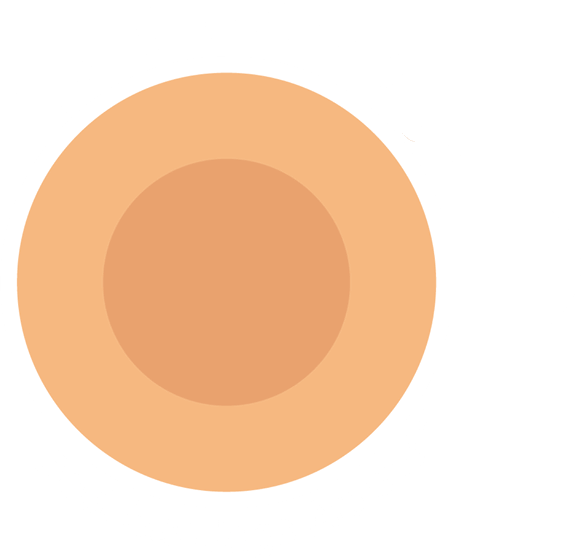 Apeeling Bandage - Circle (581x558), Png Download