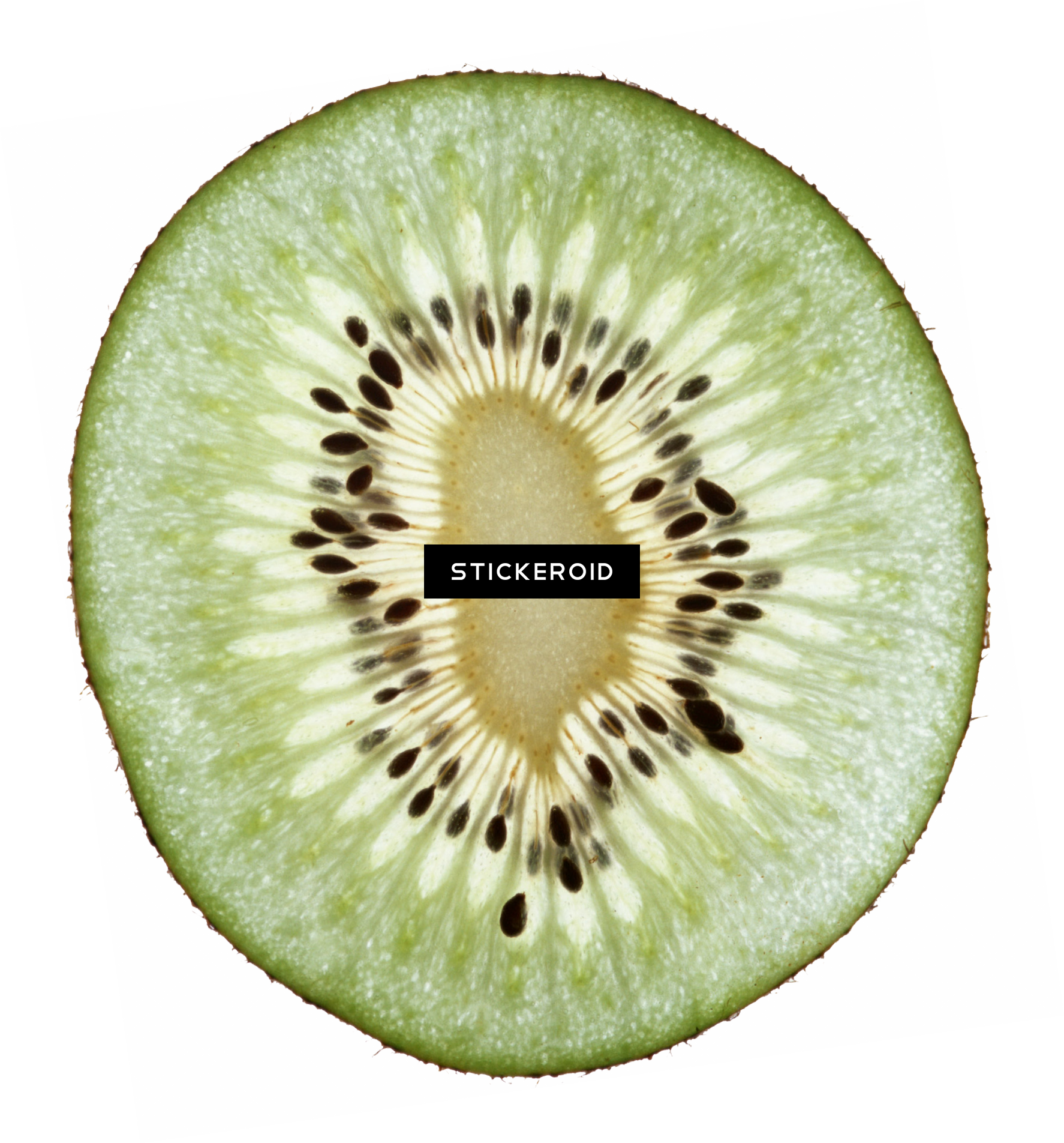 Kiwi Fruit Kiwi S (1774x1904), Png Download
