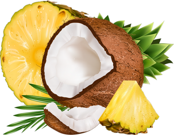 Used Trimino Coconut Pineapple Protein Infused Water (580x450), Png Download