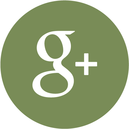 Social-icons - Google Plus Logo Green (473x496), Png Download