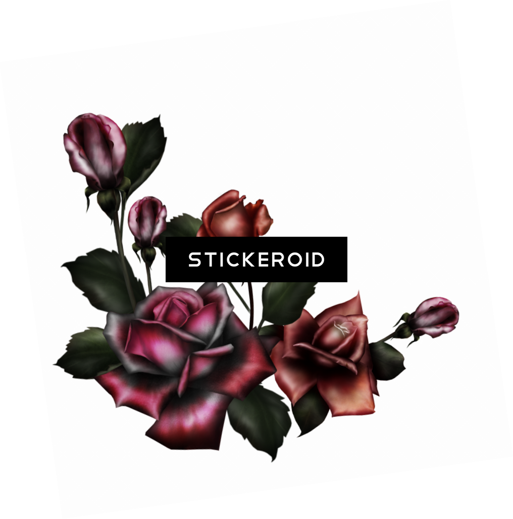 Gothic Rose Pic Flower - Gothic Flowers Png (1016x1026), Png Download