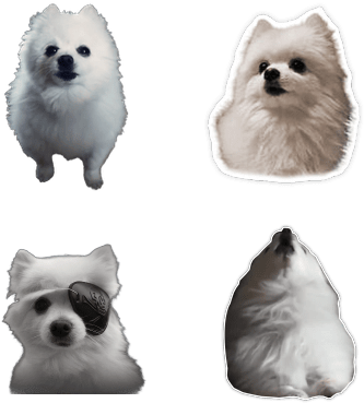 Stickpng Free Transparent Images - Gabe The Dog Transparent Background (400x400), Png Download