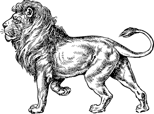 Heaven's Gates Promo Gabriel Zeldis Rock - Lion Tattoo (640x471), Png Download