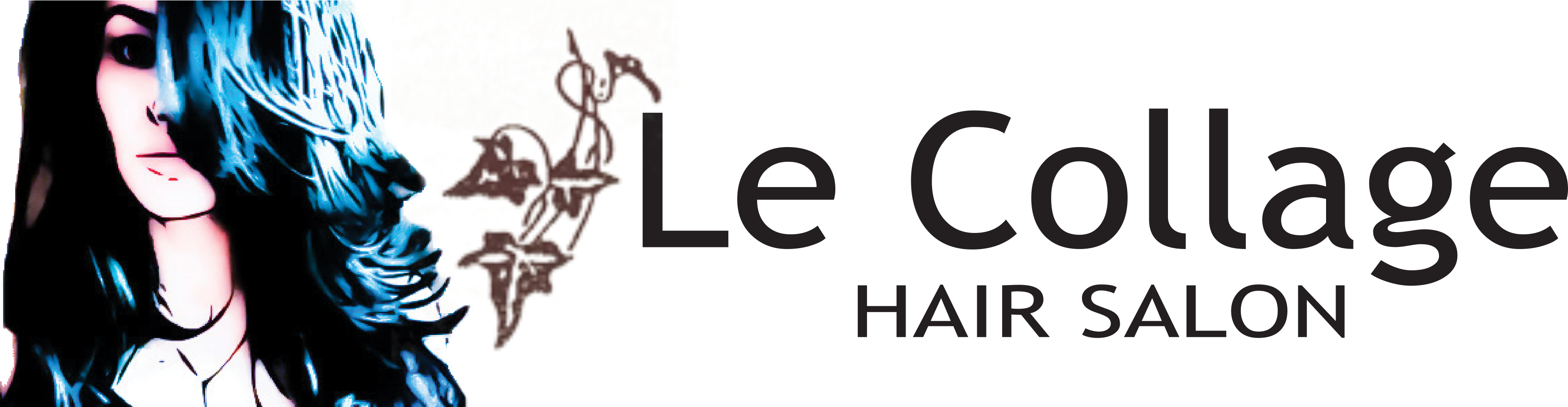 Le Collage Salon Logo - Art Of Marriage By Wilfred Arlan Peterson (3610x938), Png Download