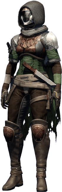 Destiny Hunter, Destiny Game, My Destiny, Destiny Costume, - Iron Companion Hunter Armor (313x666), Png Download