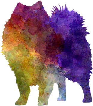 Bleed Area May Not Be Visible - Dog Watercolorm Japanese Spitz (600x480), Png Download