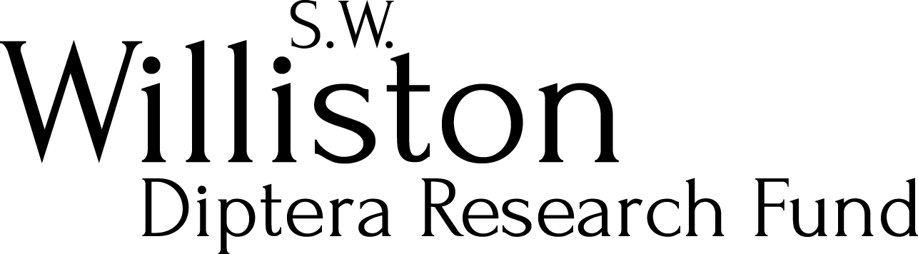 Williston Logo Large - Williston (1286x356), Png Download
