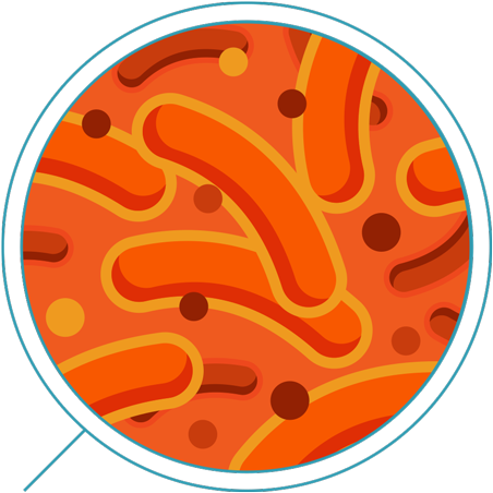Iron-oxidizing Bacteria - Bacteria (500x500), Png Download