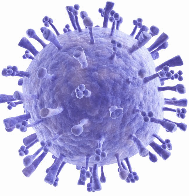 Bacteria Png Image - Introduction To Modern Virology [book] (650x674), Png Download