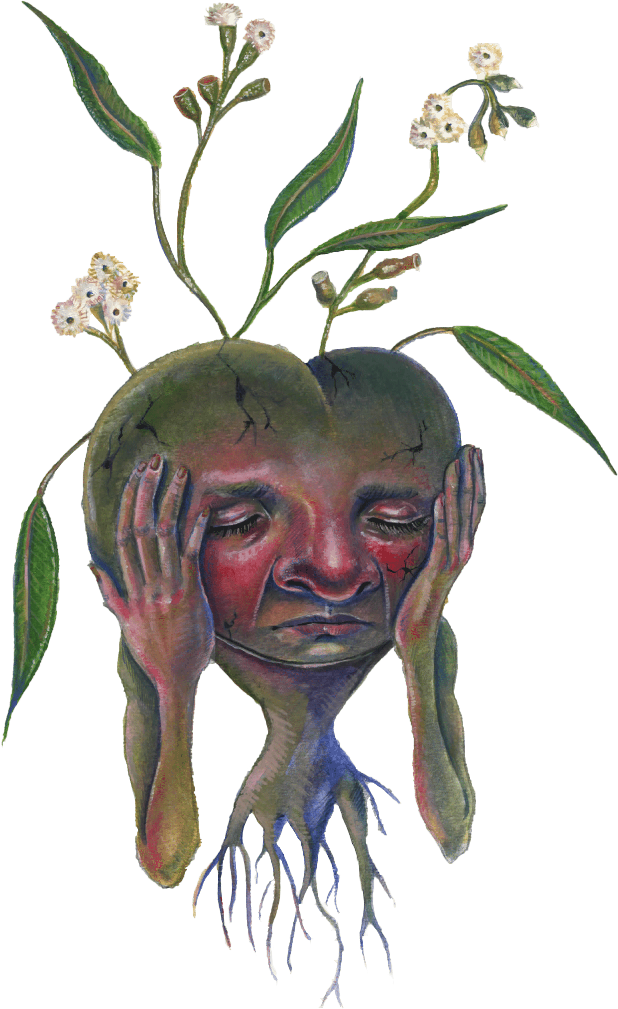 Essential Oil (1262x2048), Png Download