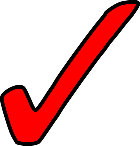 Download - Red Check Mark Transparent (547x569), Png Download