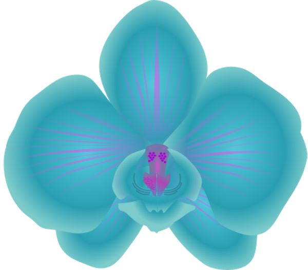 Blue Orchid Clipart - Blue Orchids Vector Png (600x527), Png Download