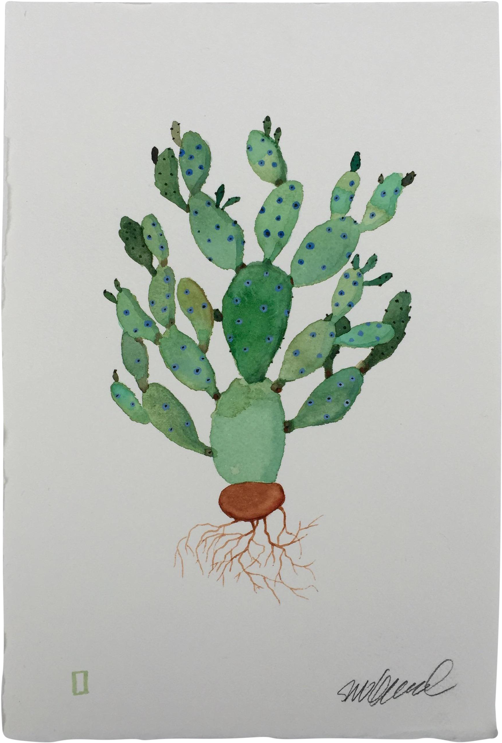 Cactus Watercolor Png - Barbary Fig (2075x2833), Png Download
