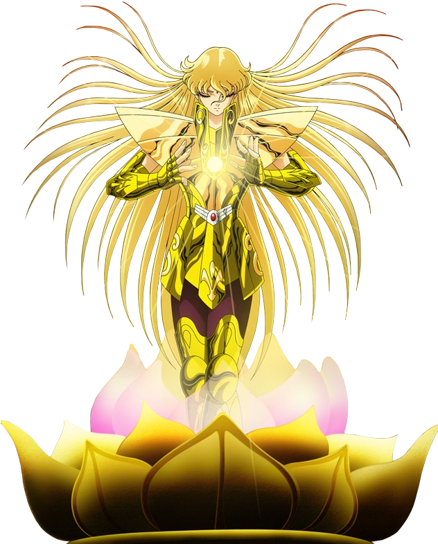 See My Albums - Shaka De Virgo Wallpaper Hd (631x812), Png Download