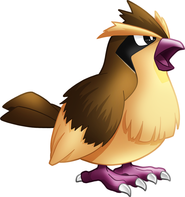 Shiny Pidgey Pokédex - Pokemon Pidgey (752x800), Png Download