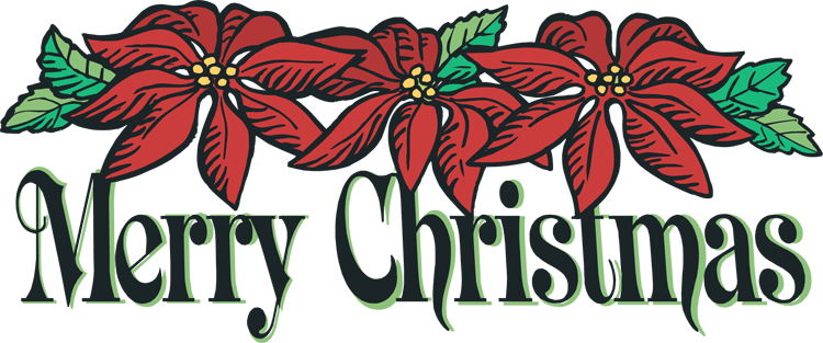 Christmas Words, Christmas Holidays, Christmas Decorations, - Merry Christmas In Words (750x313), Png Download