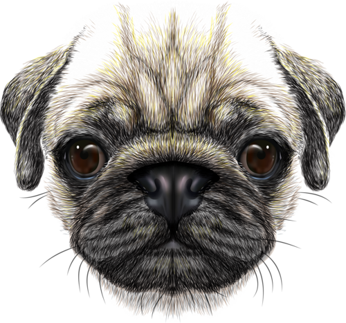 Png Free Library Scarf Vector Dog Bandana - Dog Face Transparent Background (500x467), Png Download