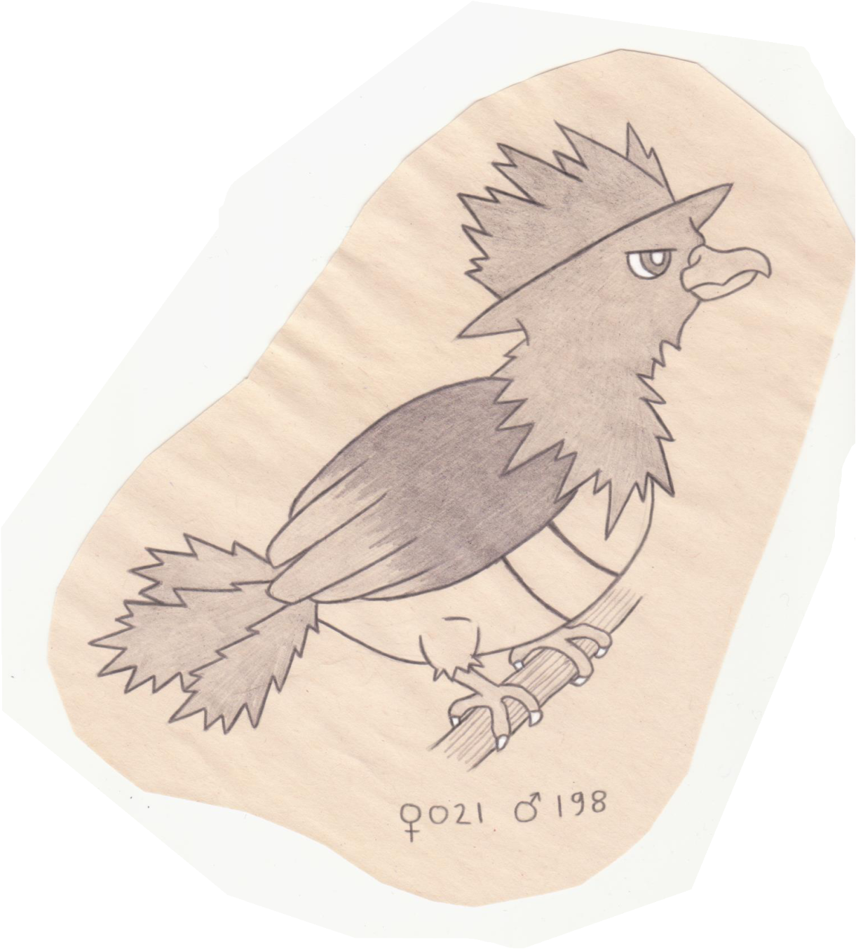 Clip Art Library Library Birb Drawing Tiny Bird (1280x1400), Png Download