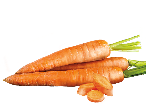 Search For - - Carrot (500x500), Png Download