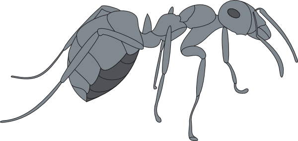 3d Gray Ant Svg Clip Arts 600 X 284 Px (600x284), Png Download