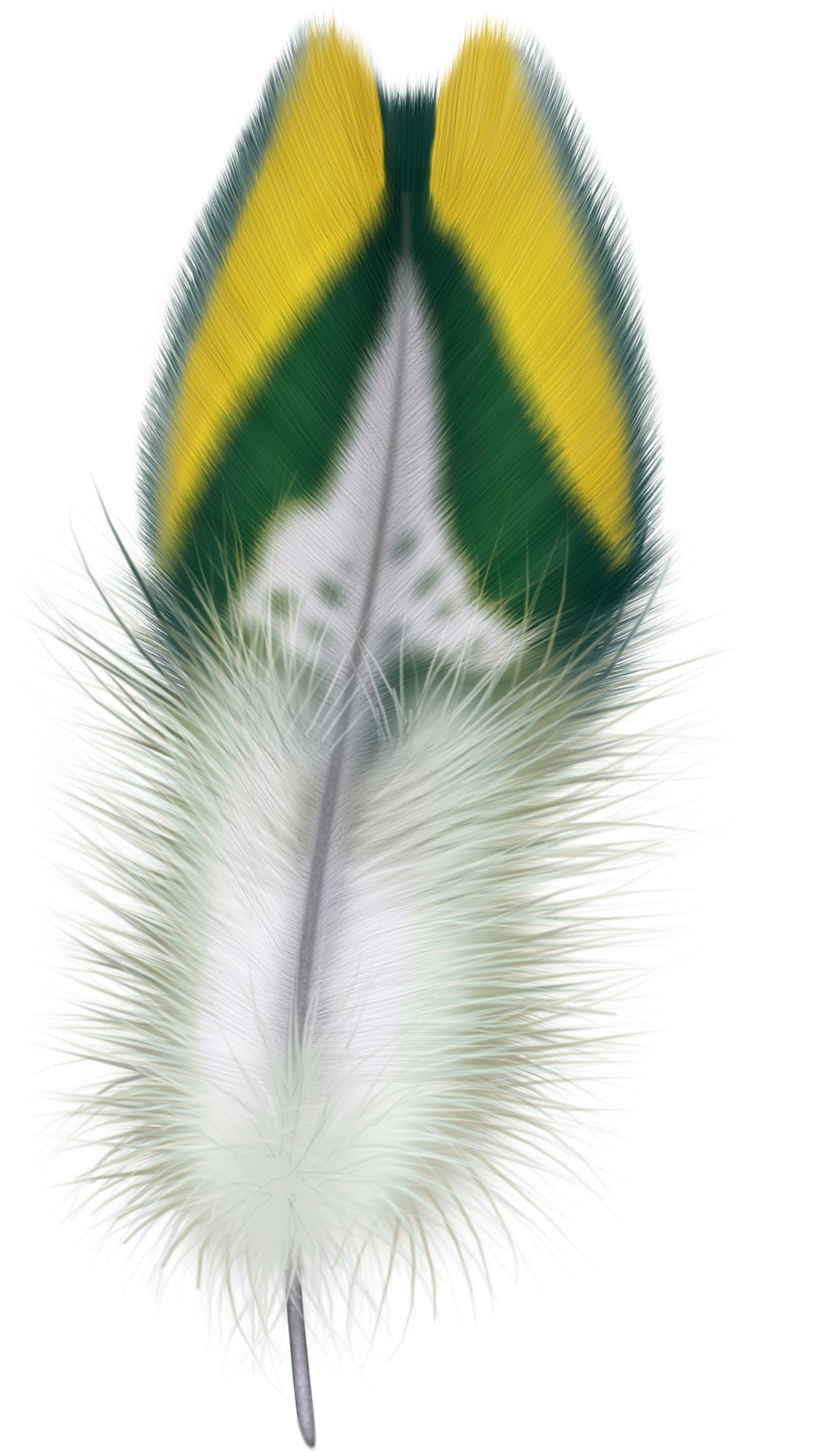 Download - Feathers Laptop Sleeve - 13" (1107x1950), Png Download