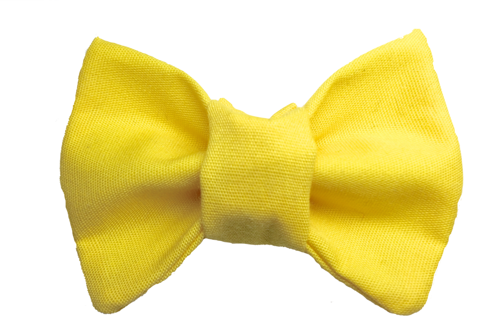 You Are My Sunshine Cat Bow Tie (1000x750), Png Download