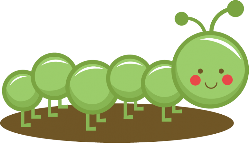 Cute Caterpillar Clipart (800x459), Png Download