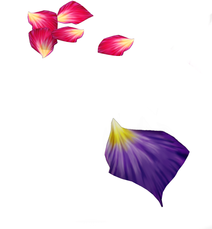 Multicolored Flower Petals - Purple Flower Petal Png (684x794), Png Download