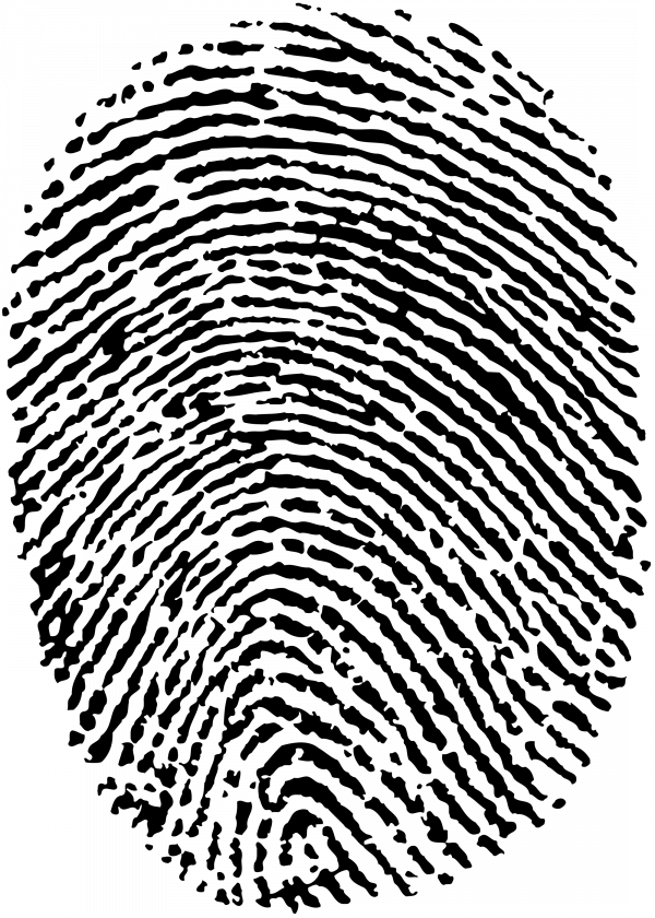 Отпечаток Пальца - Criminal Investigation: Basic Perspectives [book] (600x840), Png Download