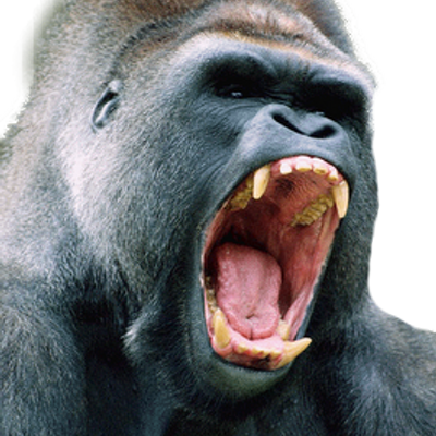 King Kong Coupons - Angry Gorilla (400x400), Png Download