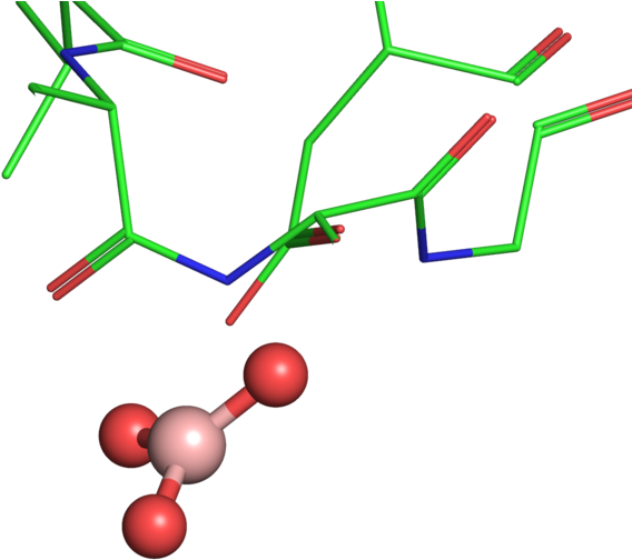 Illustration (800x800), Png Download