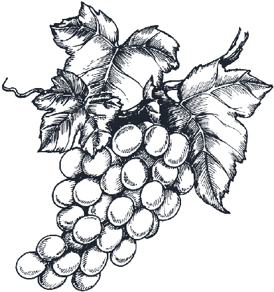 2017 Amo Té - 30 Days To Intimacy (400x425), Png Download