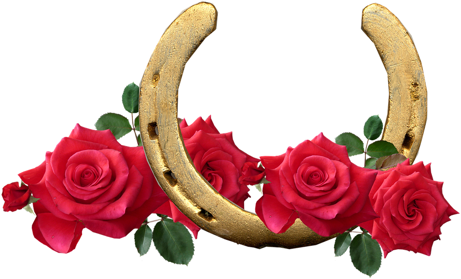 Horse Shoe, Red Roses, Lucky, Romantic - Ancient Wisdom Rose Dilute Essential Oil (960x577), Png Download